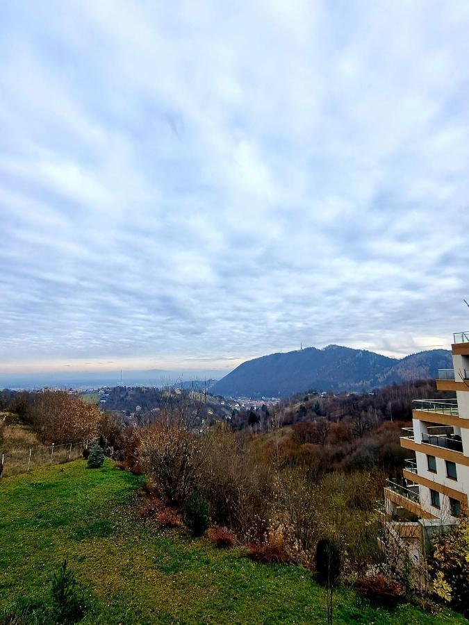 Belvedere Studio Brasov Luaran gambar